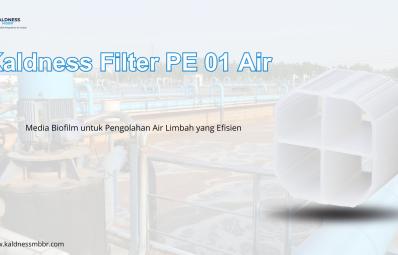 Kaldness Filter PE 01 Air